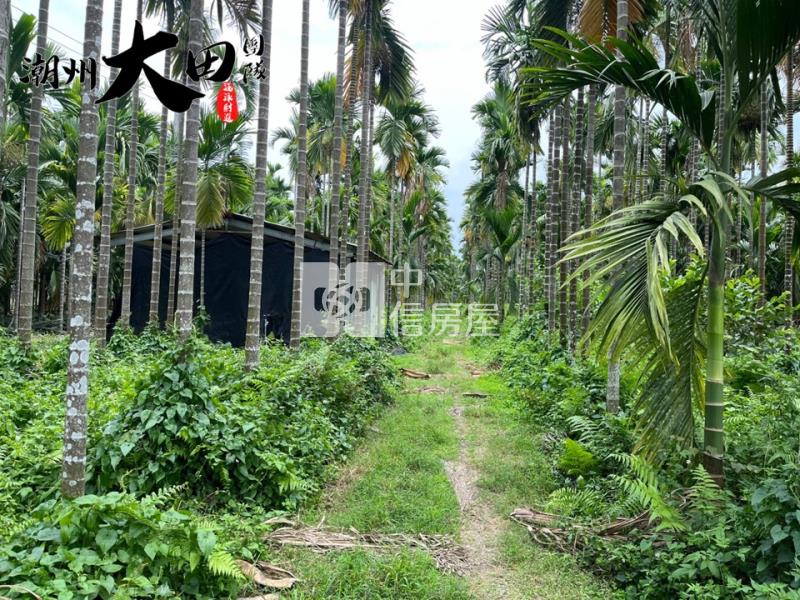 科大路一段農地房屋室內格局與周邊環境