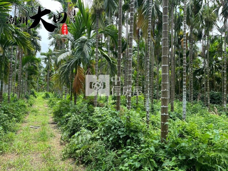 科大路一段農地房屋室內格局與周邊環境