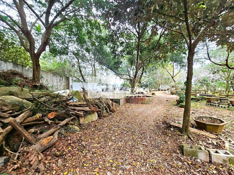 飛花落院旁大面寬角地房屋室內格局與周邊環境