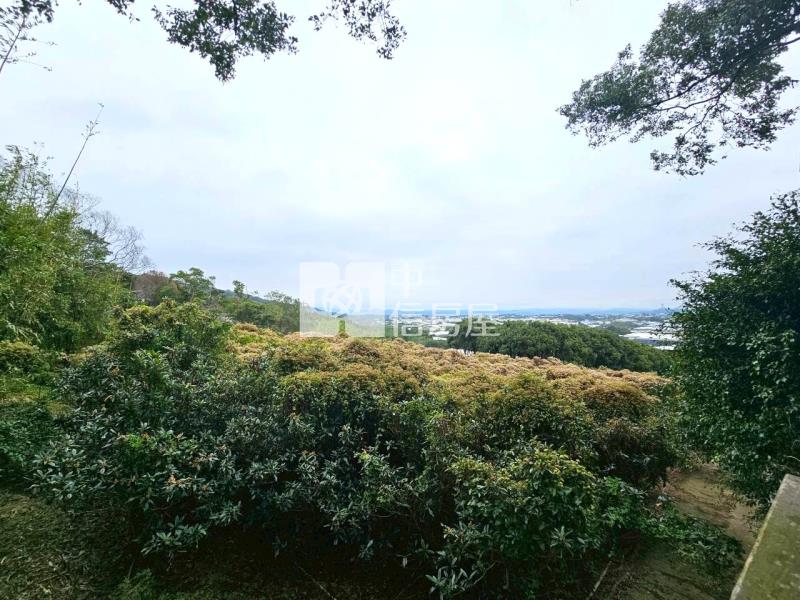 飛花落院旁大面寬角地房屋室內格局與周邊環境