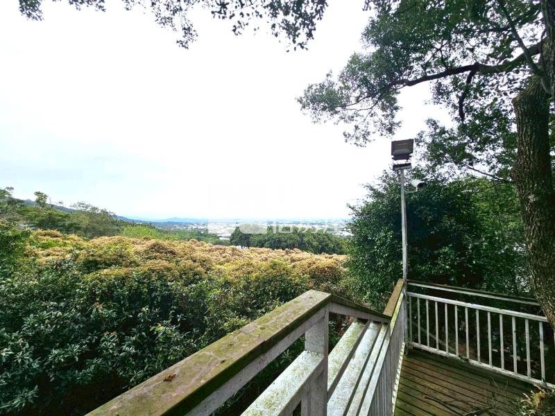 飛花落院旁大面寬角地房屋室內格局與周邊環境