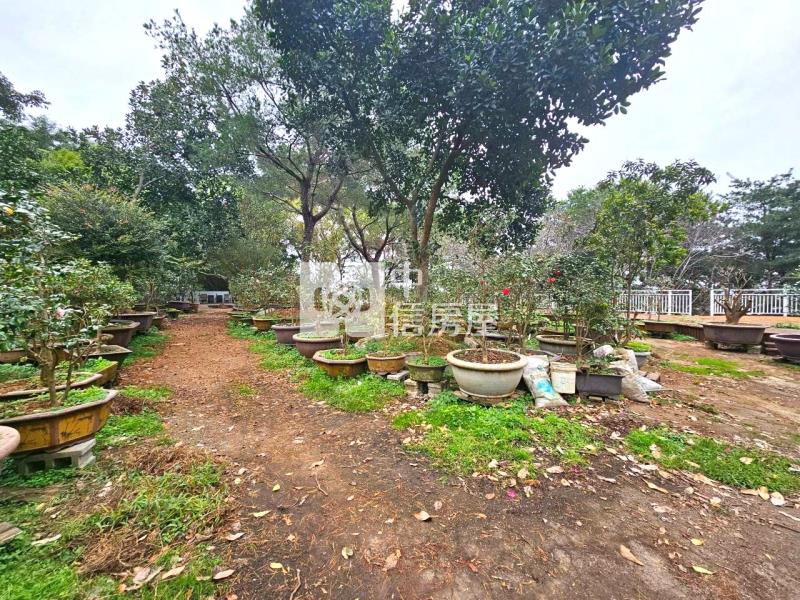 飛花落院旁大面寬角地房屋室內格局與周邊環境