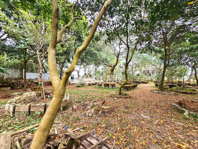 飛花落院旁大面寬角地房屋室內格局與周邊環境