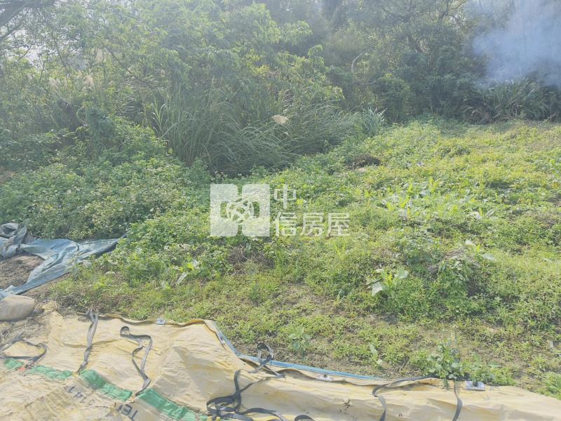 楊梅上田國小建地房屋室內格局與周邊環境