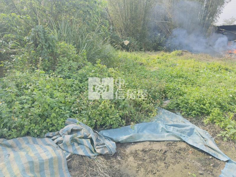 楊梅上田國小建地房屋室內格局與周邊環境