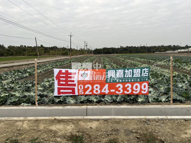 水上南靖三角窗美農地房屋室內格局與周邊環境