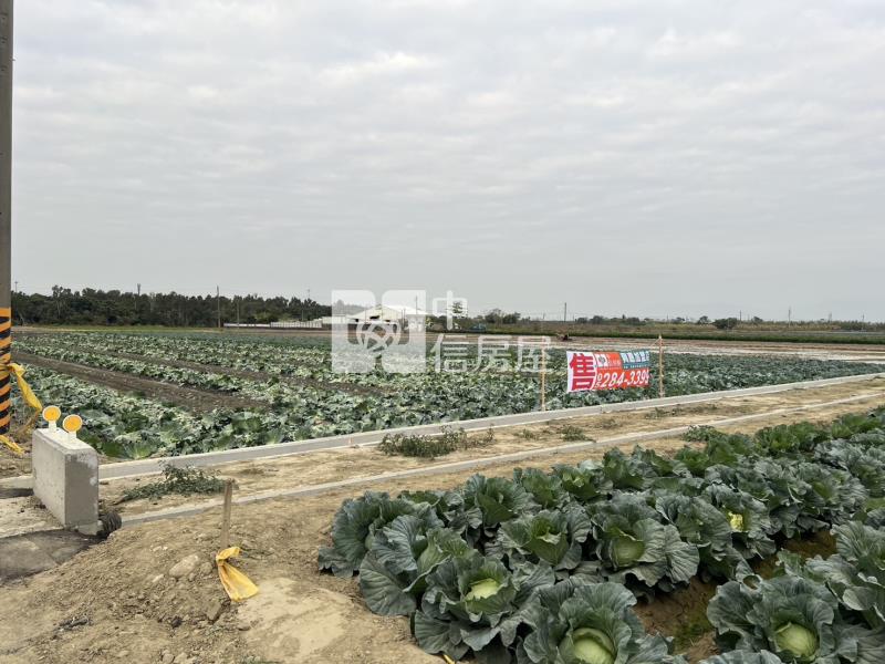 水上南靖三角窗美農地房屋室內格局與周邊環境