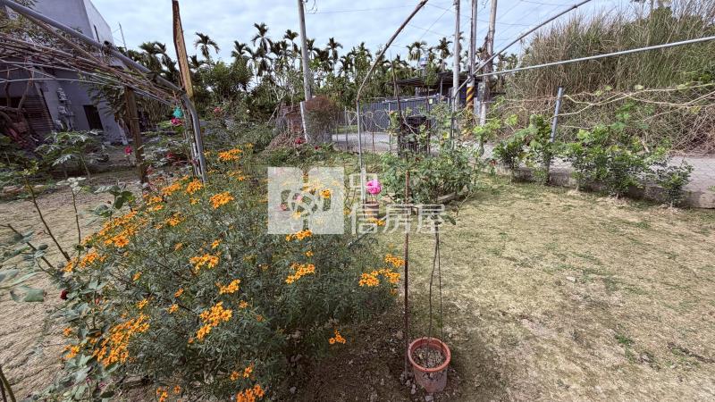 萬巒玫瑰花園休閒農地房屋室內格局與周邊環境