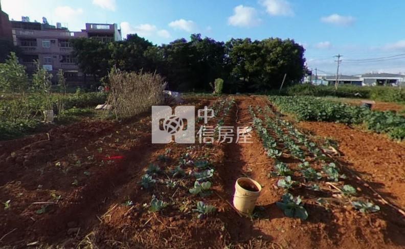 中工都內大馬路農地房屋室內格局與周邊環境