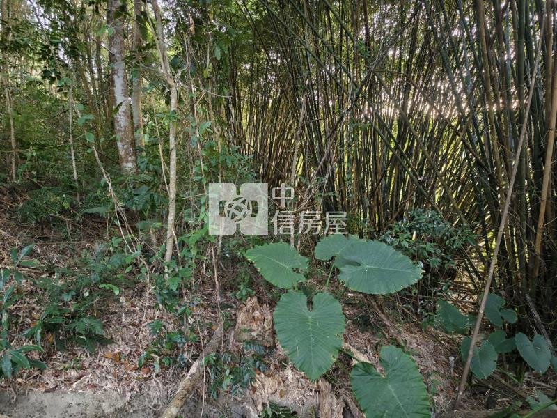 草湳3分地房屋室內格局與周邊環境