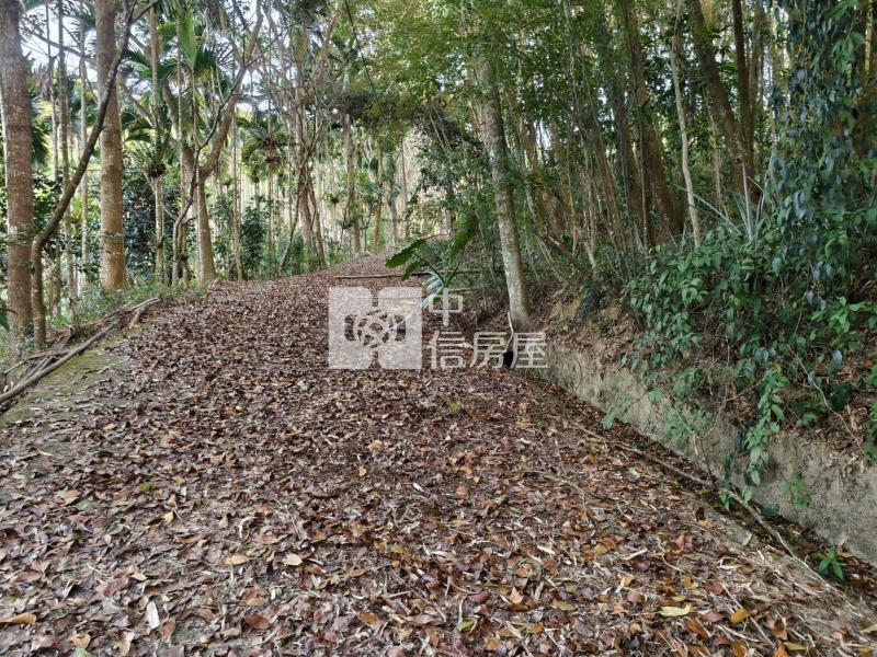 草湳3分地房屋室內格局與周邊環境