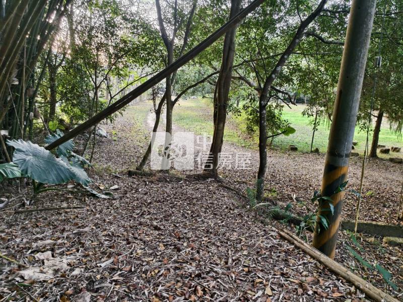 草湳3分地房屋室內格局與周邊環境