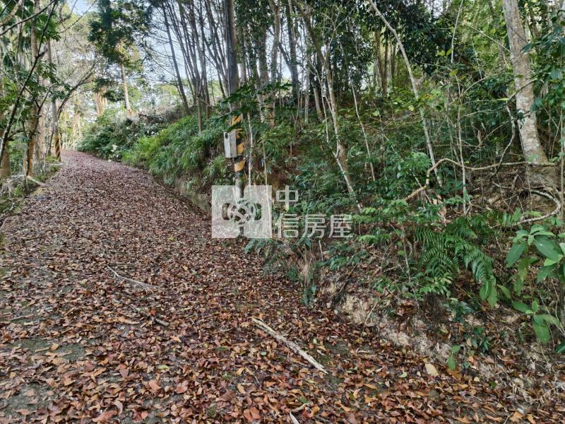 草湳3分地房屋室內格局與周邊環境