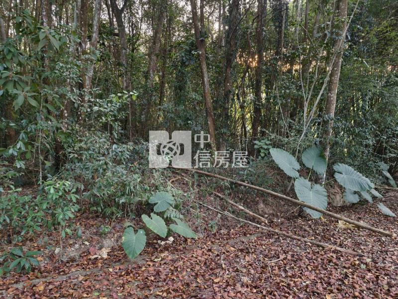 草湳3分地房屋室內格局與周邊環境