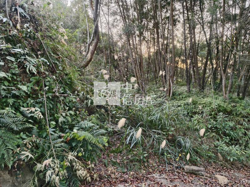 草湳3分地房屋室內格局與周邊環境