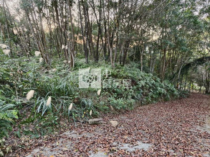 草湳3分地房屋室內格局與周邊環境