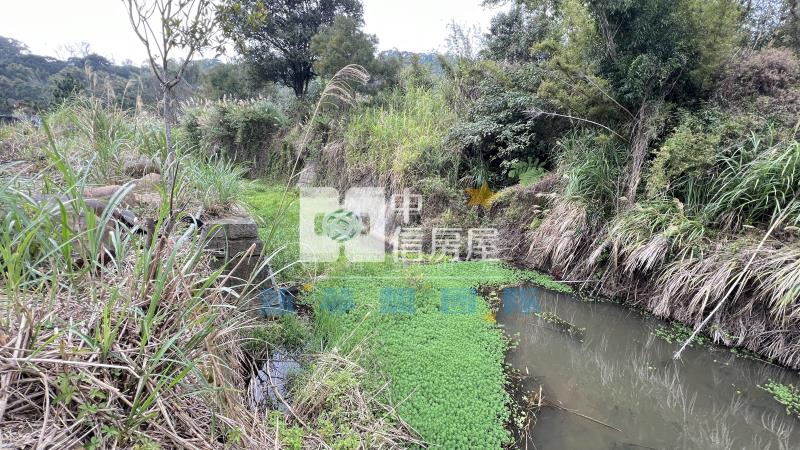 【新夢想】湖口長安一般農業區農地房屋室內格局與周邊環境