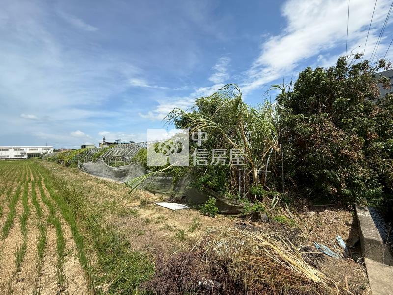 新屋區清華段美農田房屋室內格局與周邊環境