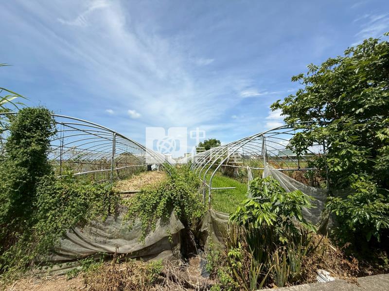 新屋區清華段美農田房屋室內格局與周邊環境