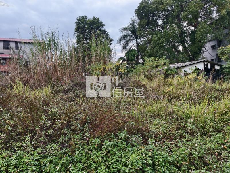 竹圍大建地房屋室內格局與周邊環境