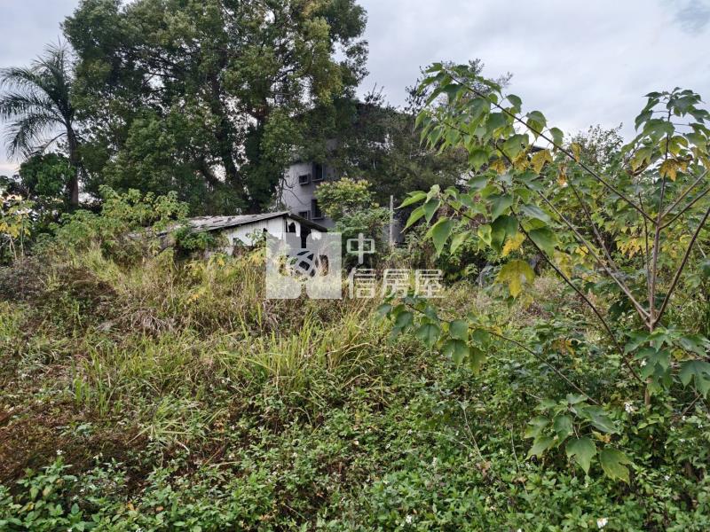 竹圍大建地房屋室內格局與周邊環境