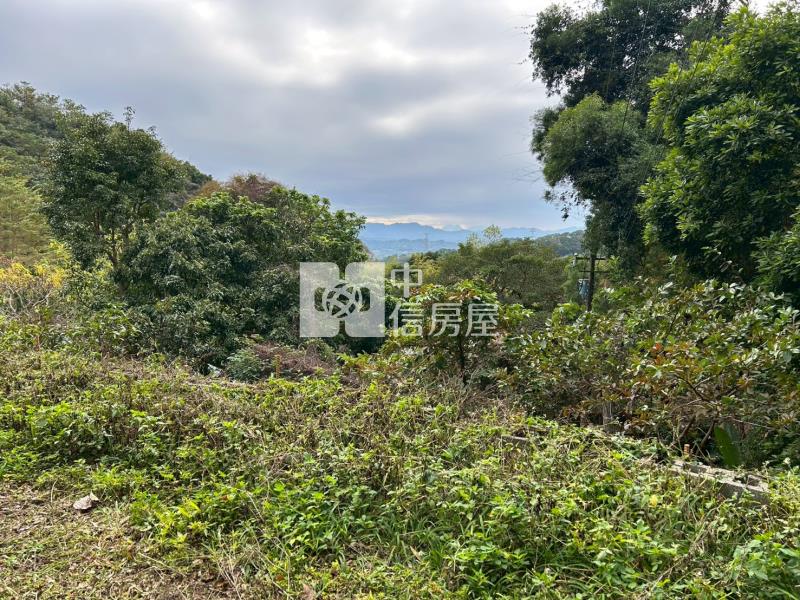 大湖薑麻園風景區農舍+建房屋室內格局與周邊環境