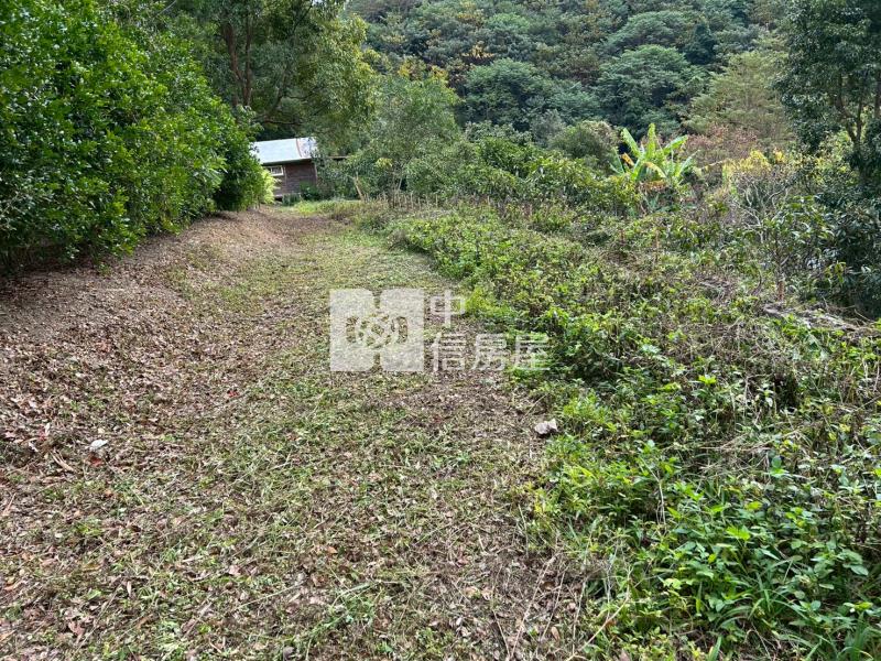 大湖薑麻園風景區農舍+建房屋室內格局與周邊環境