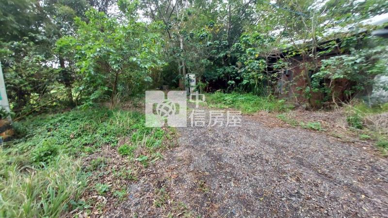 楊梅25米省道旁店面建地房屋室內格局與周邊環境