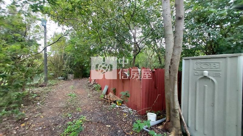 楊梅25米省道旁店面建地房屋室內格局與周邊環境