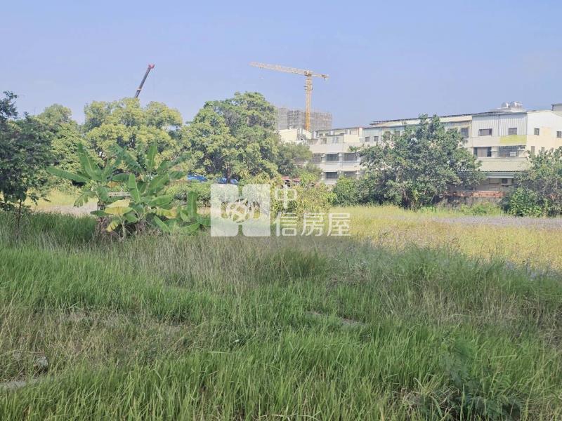 新市富強規劃徵收持分美農地房屋室內格局與周邊環境