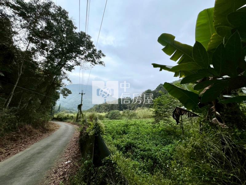 埔里近一甲農地房屋室內格局與周邊環境