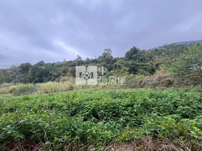 埔里近一甲農地房屋室內格局與周邊環境