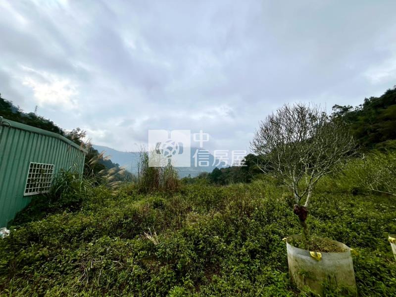 埔里近一甲農地房屋室內格局與周邊環境