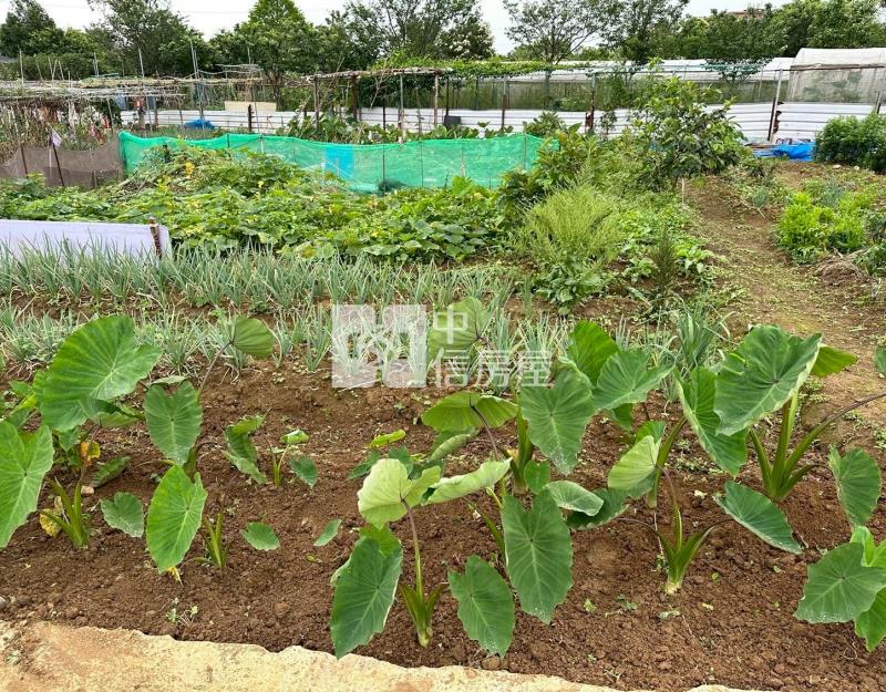 平鎮南勢生活圈.都內農地房屋室內格局與周邊環境