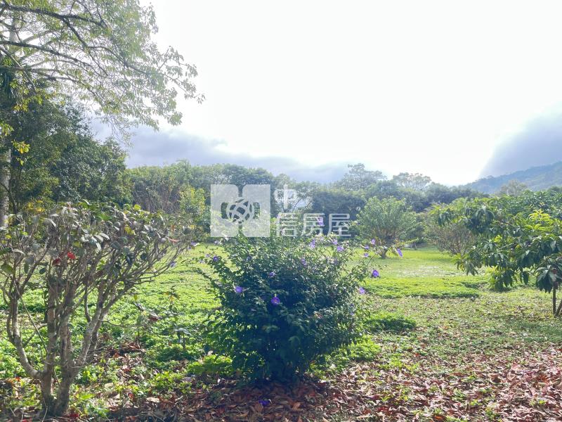 南庄豪華庭園大別墅房屋室內格局與周邊環境