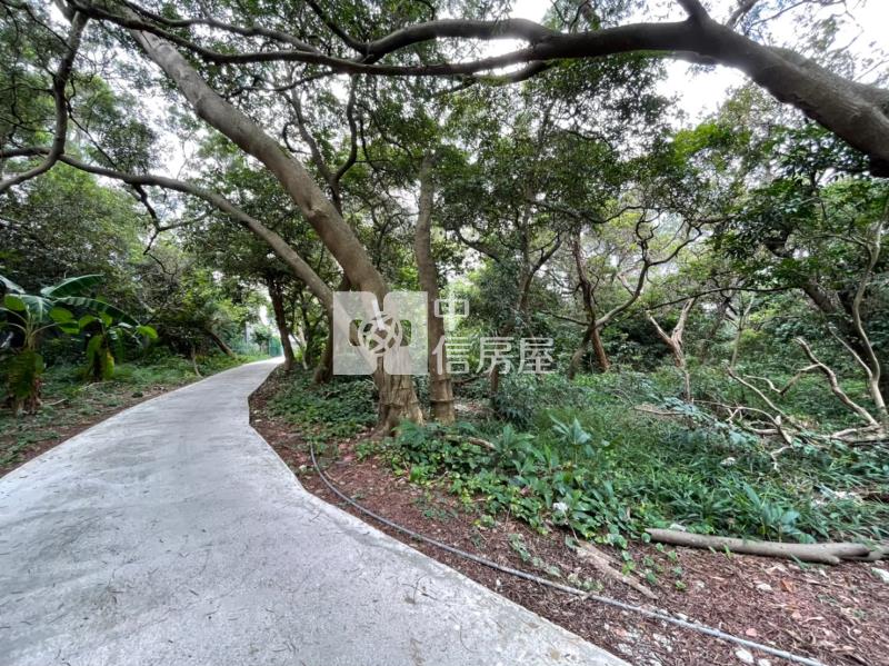 金陵路獅子林商圈農地房屋室內格局與周邊環境