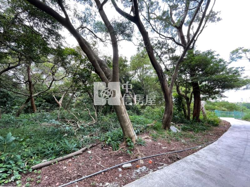 金陵路獅子林商圈農地房屋室內格局與周邊環境