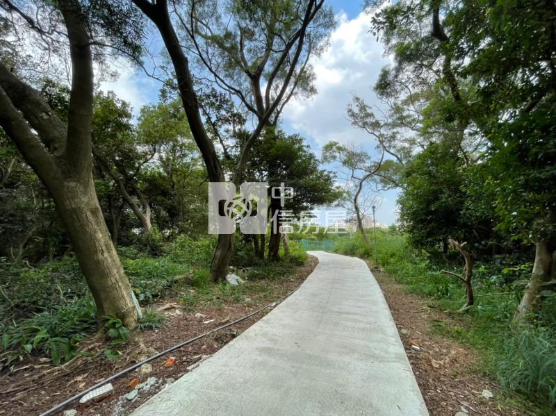 金陵路獅子林商圈農地房屋室內格局與周邊環境