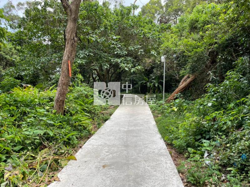 金陵路獅子林商圈農地房屋室內格局與周邊環境