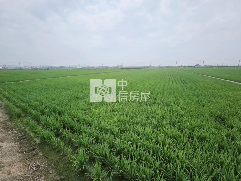 近柳營科工區3分1美農地房屋室內格局與周邊環境