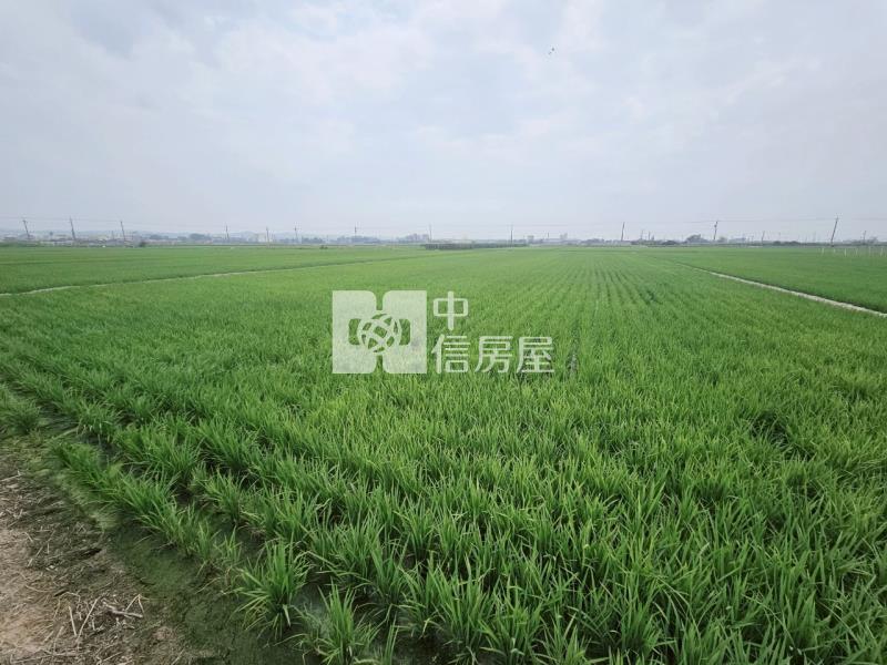 近柳營科工區3分1美農地房屋室內格局與周邊環境