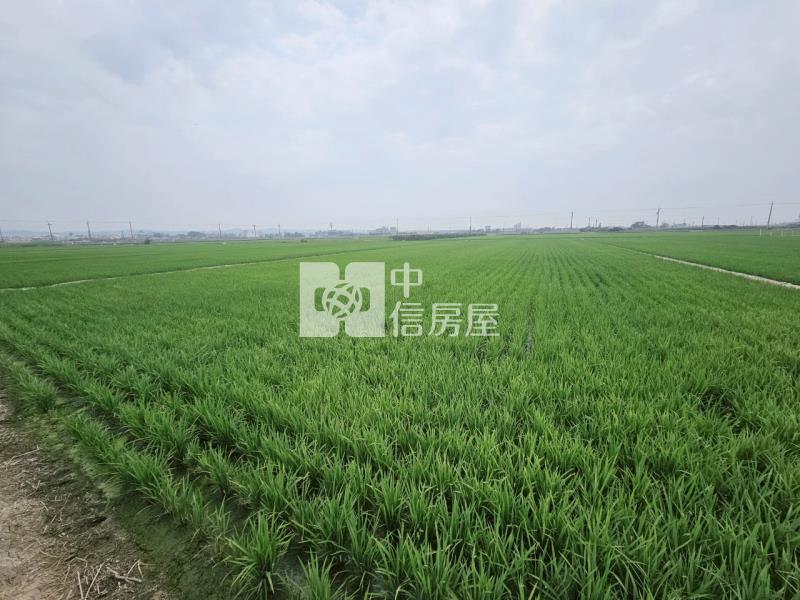 近柳營科工區3分1美農地房屋室內格局與周邊環境