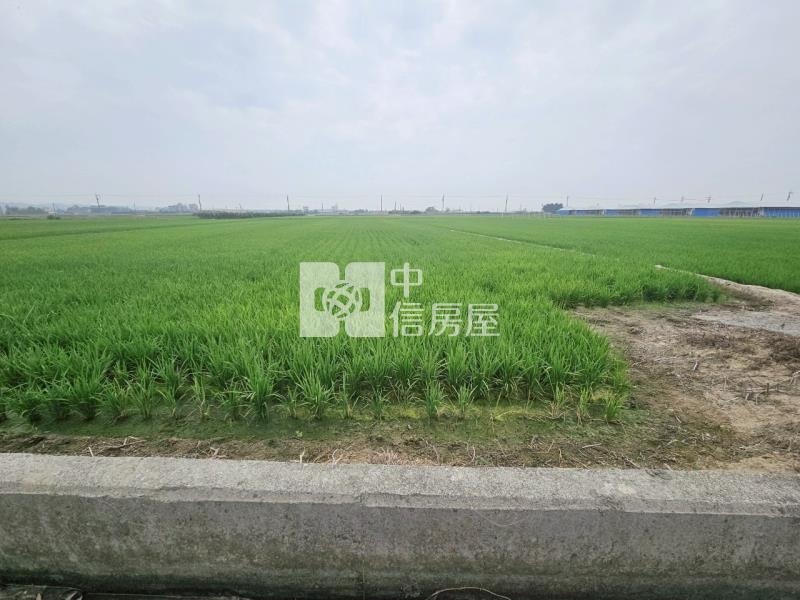 近柳營科工區3分1美農地房屋室內格局與周邊環境
