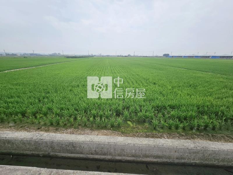 近柳營科工區3分1美農地房屋室內格局與周邊環境