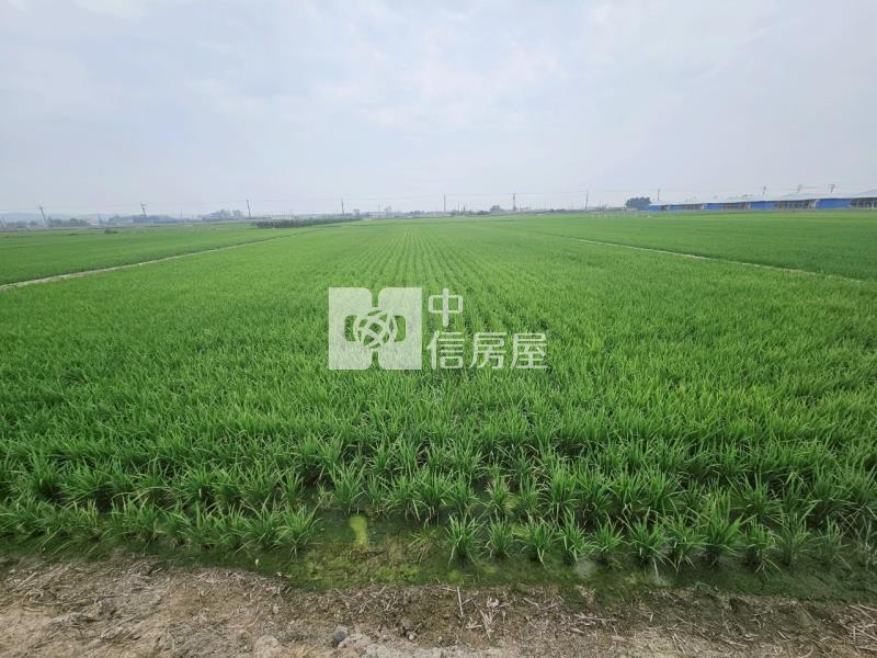 近柳營科工區3分1美農地房屋室內格局與周邊環境