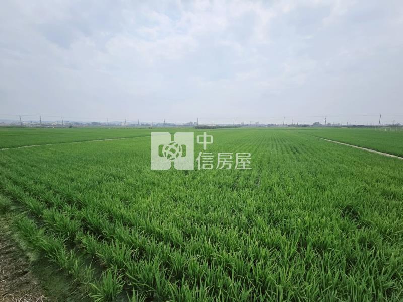 近柳營科工區3分1美農地房屋室內格局與周邊環境