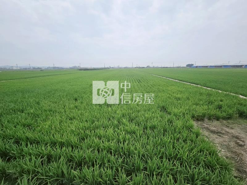 近柳營科工區3分1美農地房屋室內格局與周邊環境