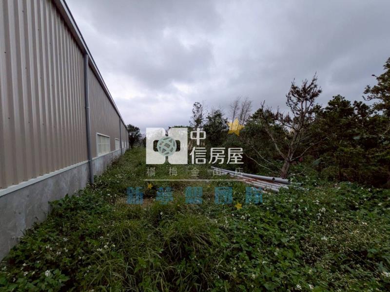 【新夢想】楊梅火車站鋼骨溫室房屋室內格局與周邊環境