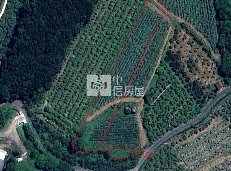 玄天超便宜平坦一般農房屋室內格局與周邊環境