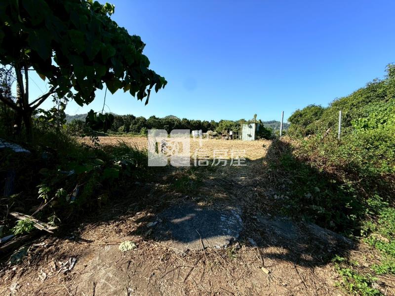 玄天超便宜平坦一般農房屋室內格局與周邊環境